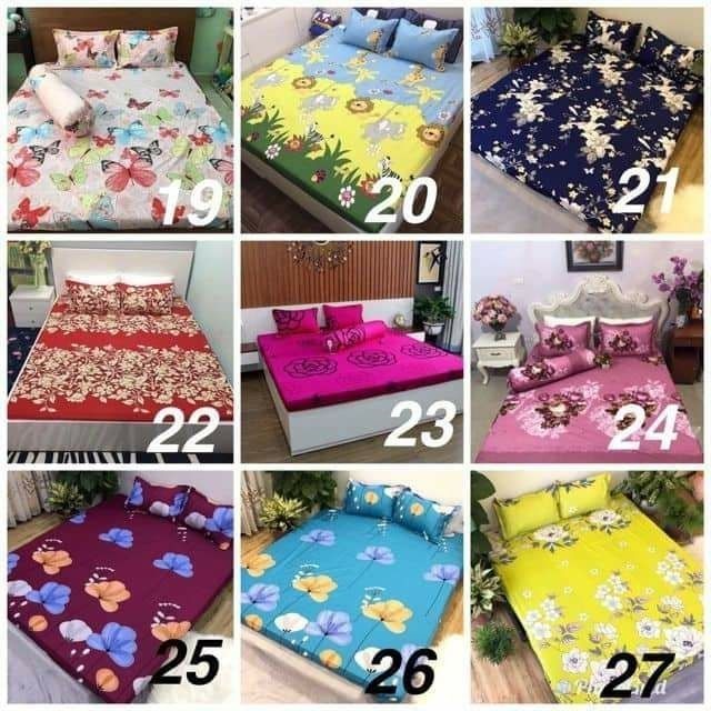 Bộ ga giường cotton 3 món ga bọc thun - Giao màu ngẫu nhiên