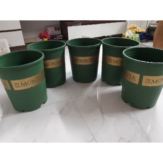 Chậu nhựa trồng cây Monrovia 3GAL Combo 20 chiếc hàng nhập khẩu Trung