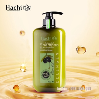 Dầu gội dành cho tóc gàu chiết xuất OLIVE - Hachi Việt Nam Anti-dandruff
