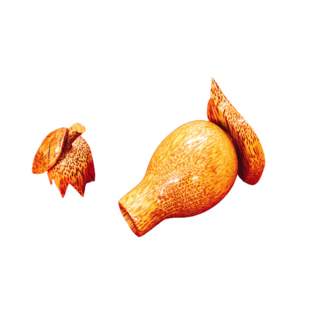 Hủ tăm trái cà gỗ dừa OHI@MA