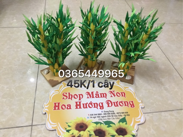 Cây xanh góc xây dựng