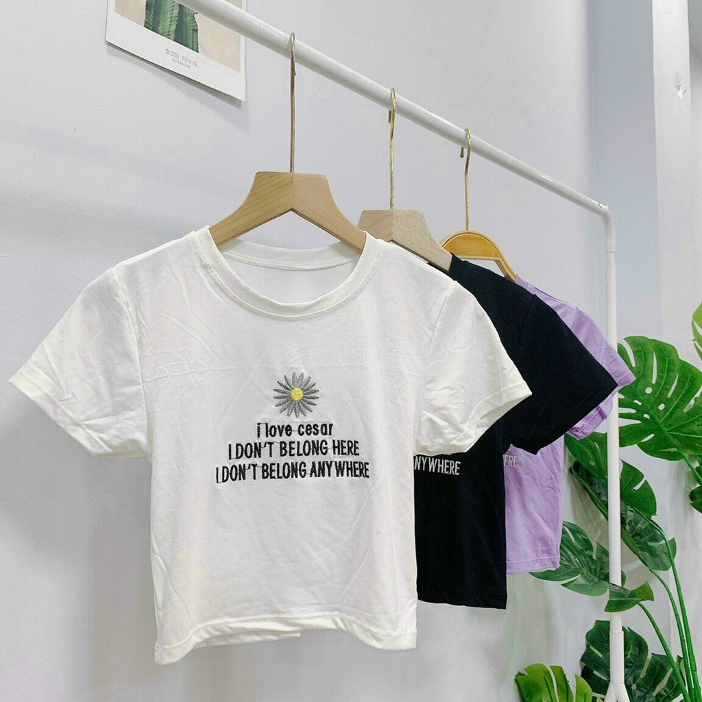 [Mã FAMAYWA giảm 10K đơn 50K] [HÌNH THẬT ÁO CROPTOP THÊU HOA CÚC TRẮNG ULZZANG - ÁO THUN ÔM BODY | BigBuy360 - bigbuy360.vn