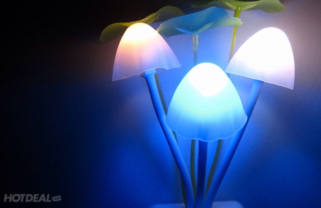 Đèn ngủ đổi màu hình nấm avatar | BigBuy360 - bigbuy360.vn