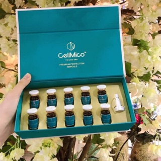 TẾ BÀO GỐC CELLMICO