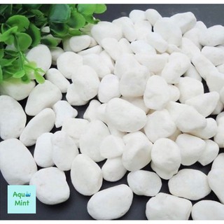 Sỏi Trắng Trang Trí Bể Cá, Tiểu Cảnh, Cây Bon Sai,.. (500Gr)