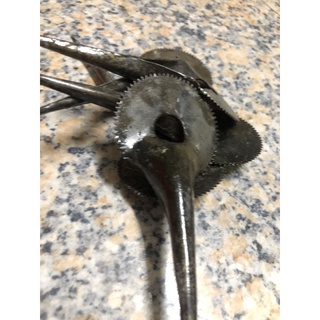 lưỡi nạo dừa