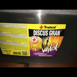 Discus gran gói 1 lạng