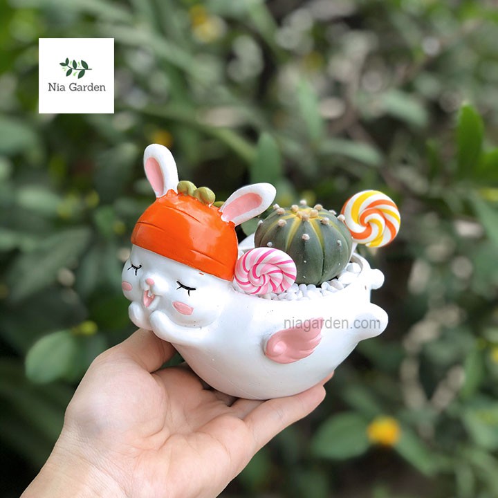 Tiểu cảnh kẹo mút lolipop trang trí chậu cây terrarium bể cá vườn mini Nia Garden N5