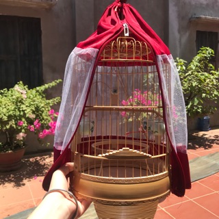 Áo lưới lồng khuyên