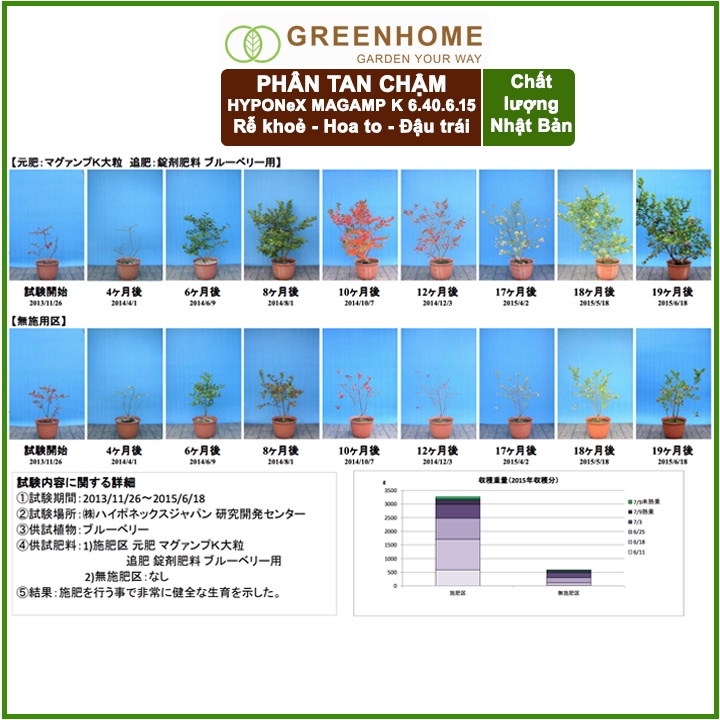 Bộ 2 Phân tan chậm Nhật, Hyponex, Magamp K 640-6-15, bao 600gr giúp rễ khoẻ, hoa nhiều, bông to, đậu quả tốt |Greenhome