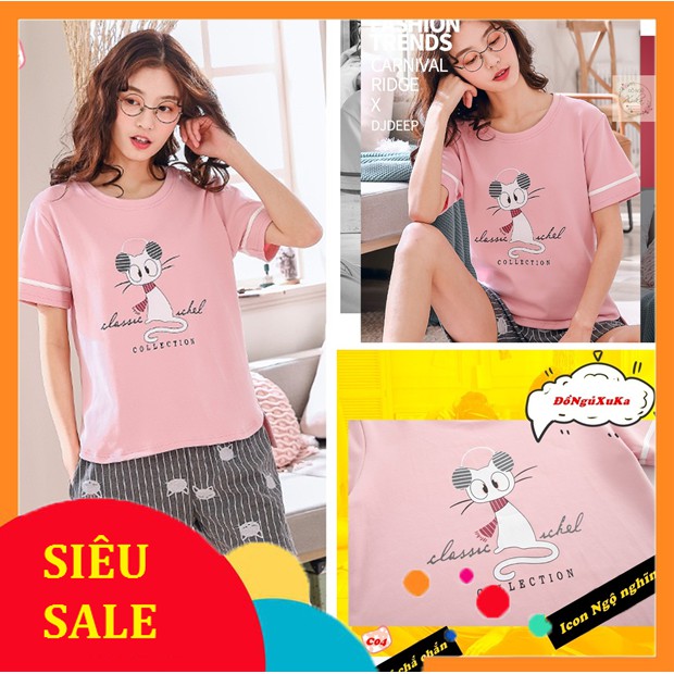 Bộ Ngủ Cộc Cotton Cao Cấp C04