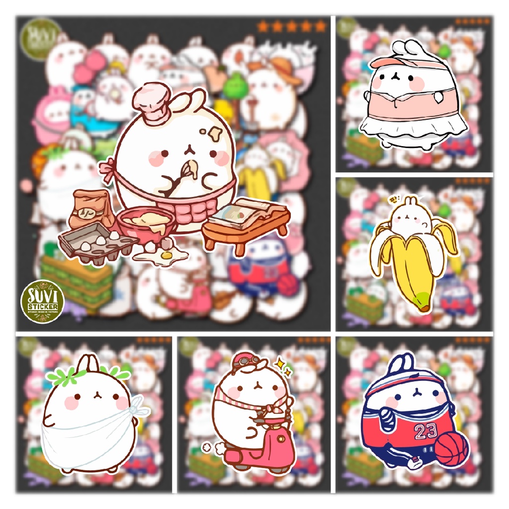 50 Sticker Thỏ Molang chống nước sticker dán mũ bảo hiểm, laptop, điện thoại, đàn guitar, vali. MSP: NS57