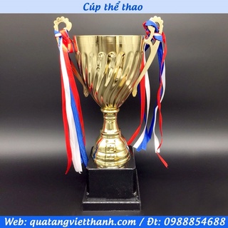 Cúp thể thao 3019