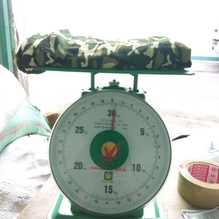 Vải của Lâm chi