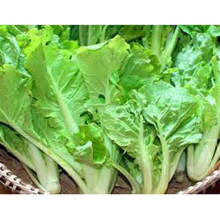Hạt giống cải bẹ Dún