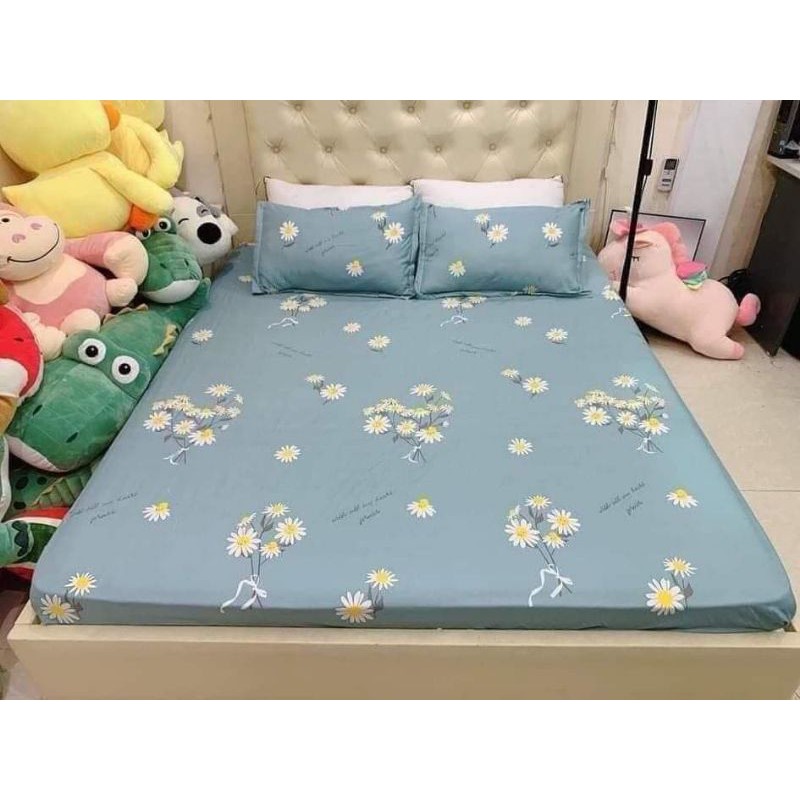 ga gối 2*2.2 m