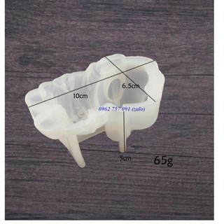Khuôn heo nằm silicon