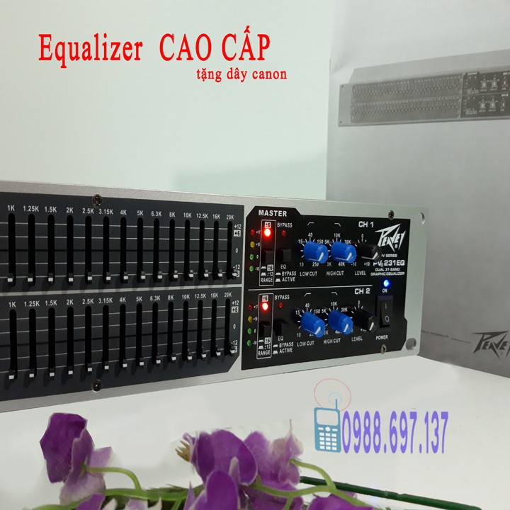 lọc xì Peavey 231EQ - lọc âm thanh cao cấp equalizer