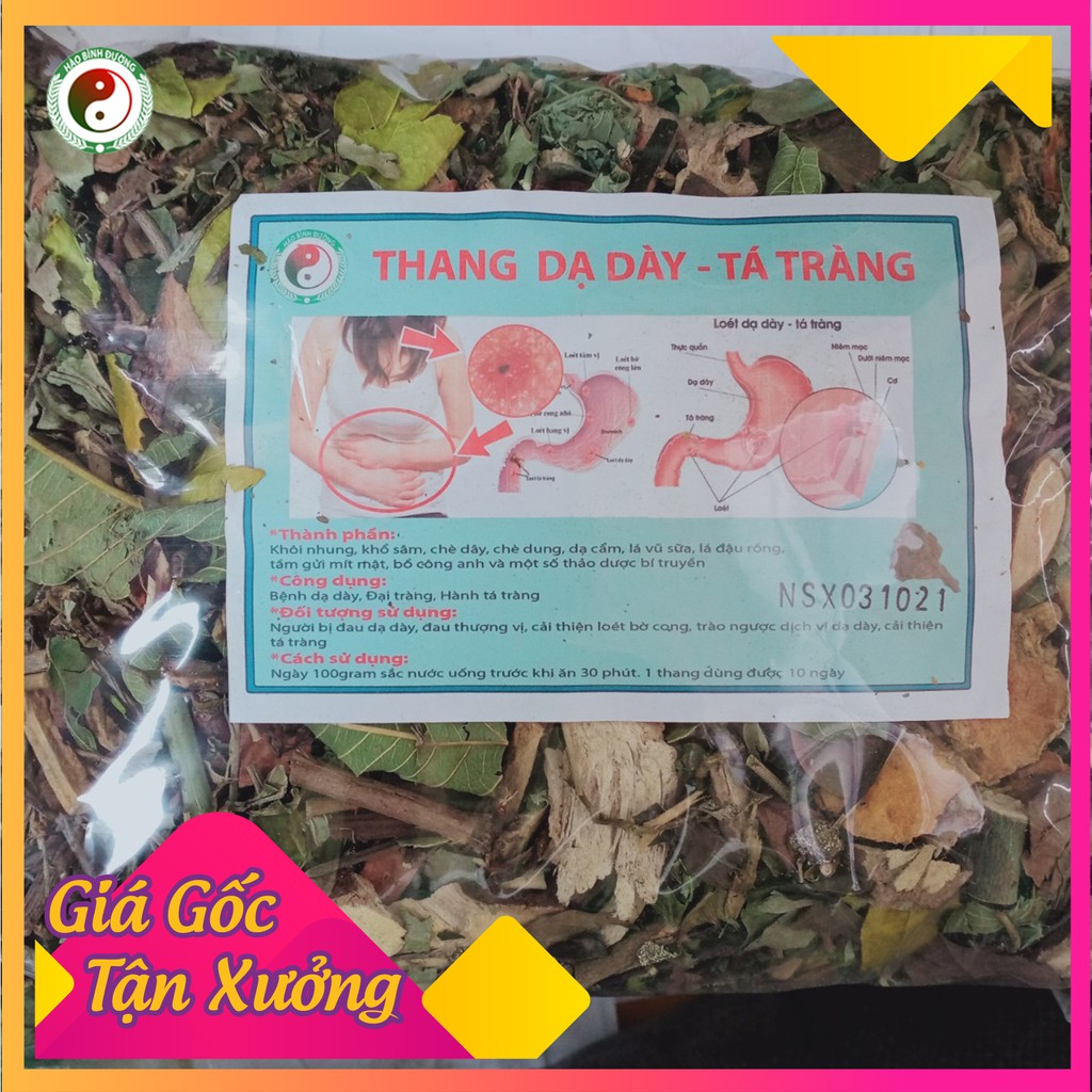 Lá Dạ Dày Dân Tộc Dao Giúp Tiêu Hóa Tốt Giúp Ăn Ngon Giảm Đầy Bụng