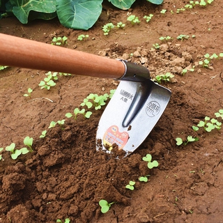 Làm cỏ đa chức năng cải tạo đất nông nghiệp, đào rãnh, cào tam giác, cuốc đơn và kép