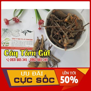 Cây tầm gửi 100g - loại cao cấp - thảo dược thanh bình