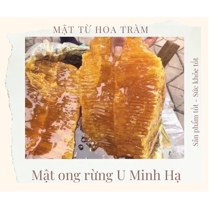 Mật ong rừng U Minh Hạ 500ml