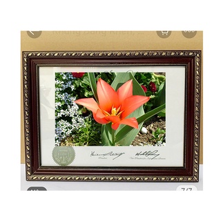 Khung đẹp treo tranh ,ảnh bằng khen, hình thờ 20x30