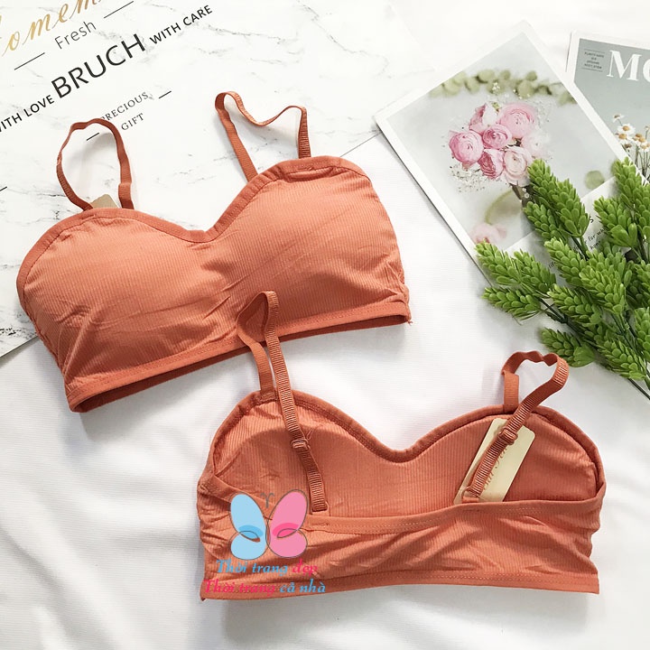 Áo bra ống phối 2 dây thun cotton tăm gân co giãn - bra9922