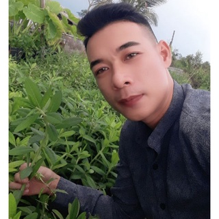CÂY THẠCH ANH