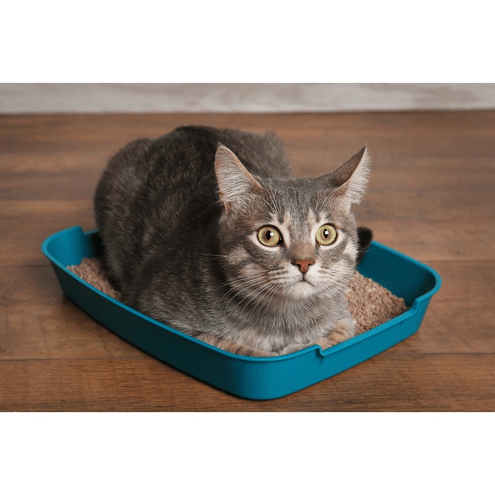 CÁT VỆ SINH CHO MÈO - CÁT NHẬT ĐEN MOONCAT - 9L