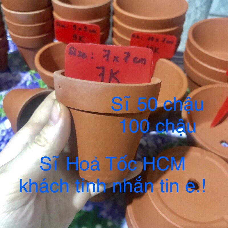 [ Hoả Tốc HCM] sĩ 100 chậu đất nung 7x7cm sĩ chậu giá rẻ