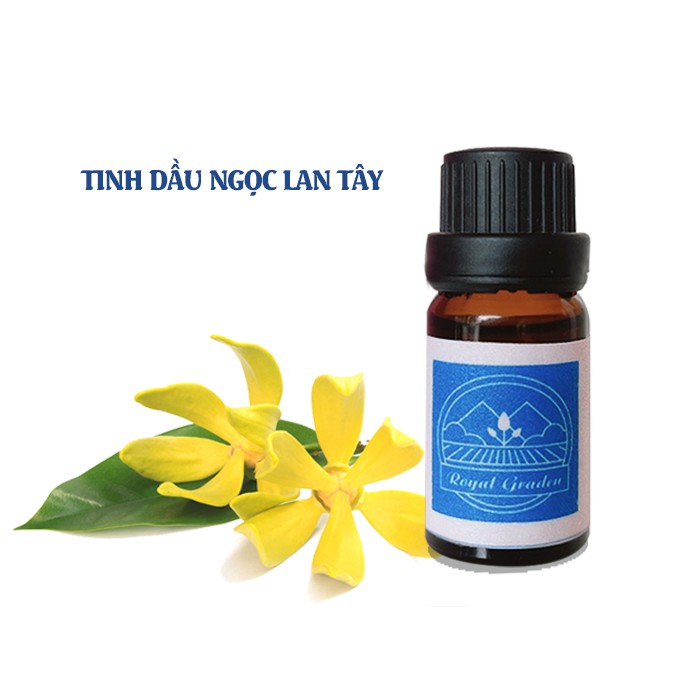 Tinh dầu ngọc lan tây làm thơm phòng dung tích 10ml