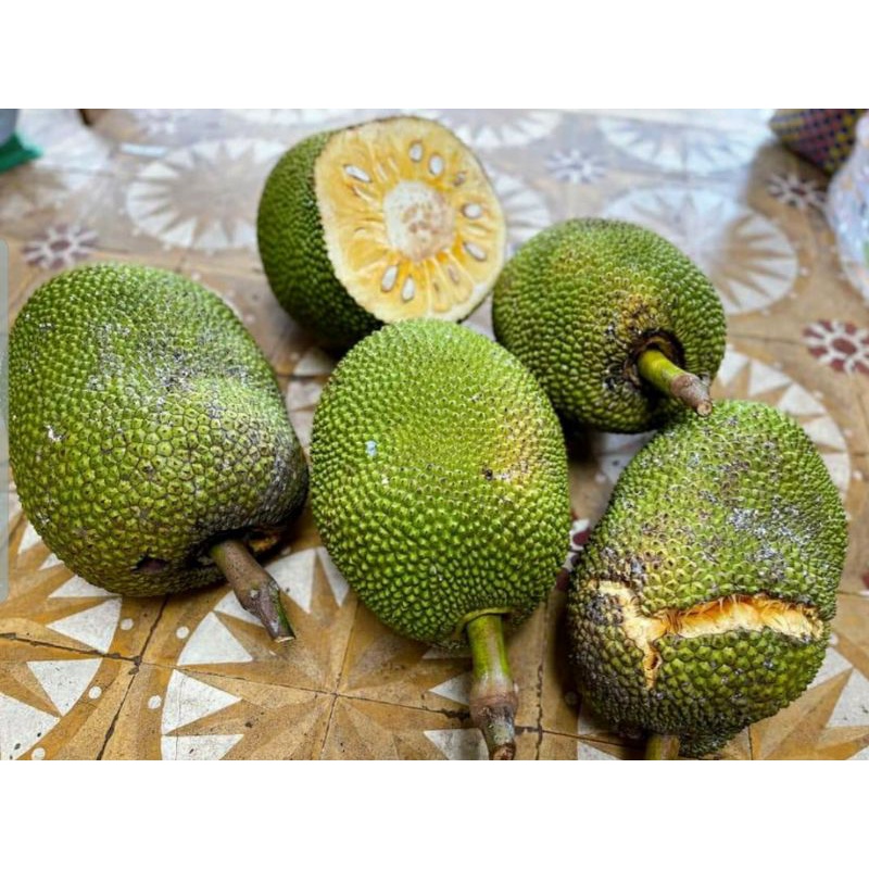 (Giao hỏa tốc) Mít thái quê 25k/kg | BigBuy360 - bigbuy360.vn