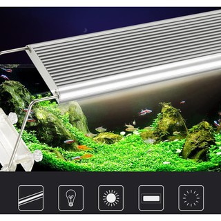 Đèn Led Odyssea Slim X tiết kiệm điện cho bể thủy sinh, bể cá cảnh