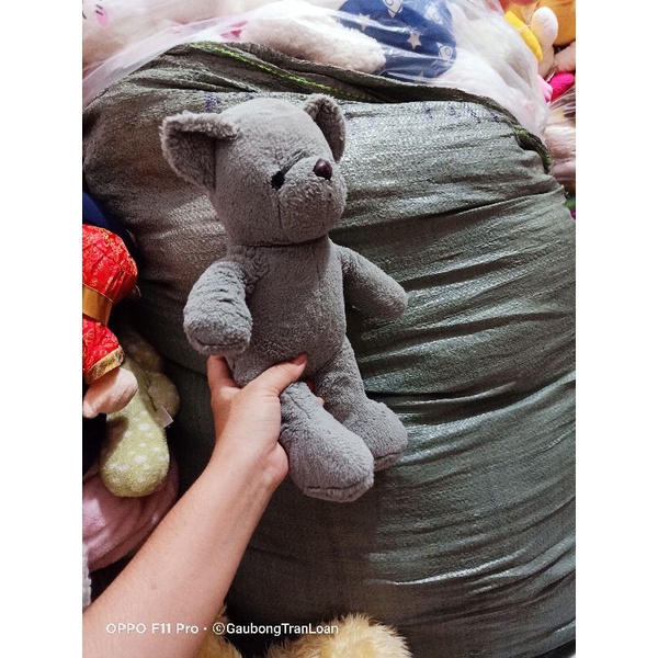 Gấu bông teddy size 40_50cm
