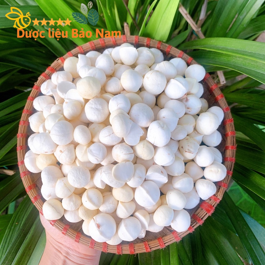 Nhân hạt macca tươi Tây Bắc loại 1, không vỡ 500g - 1000g