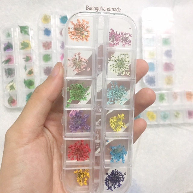 Hoa khô queen anne’s lace trang trí handmade, resin