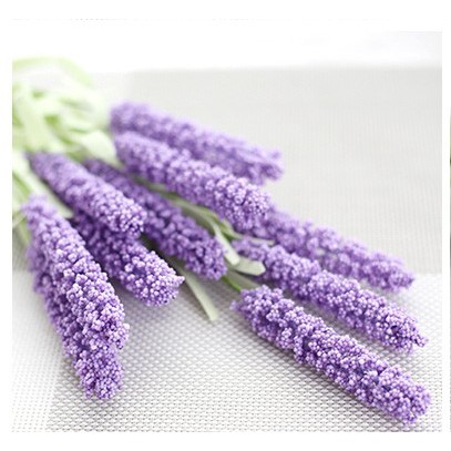 Hoa lavender (oải hương)