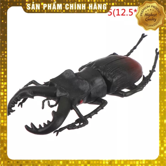 Bộ sưu tập bọ cánh cứng Kamen Rider 1797 2