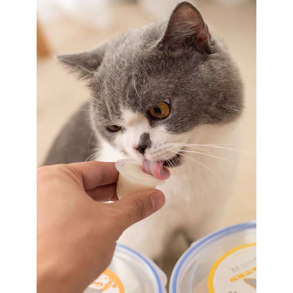 [Lẻ] Viên pudding sữa dê cho mèo