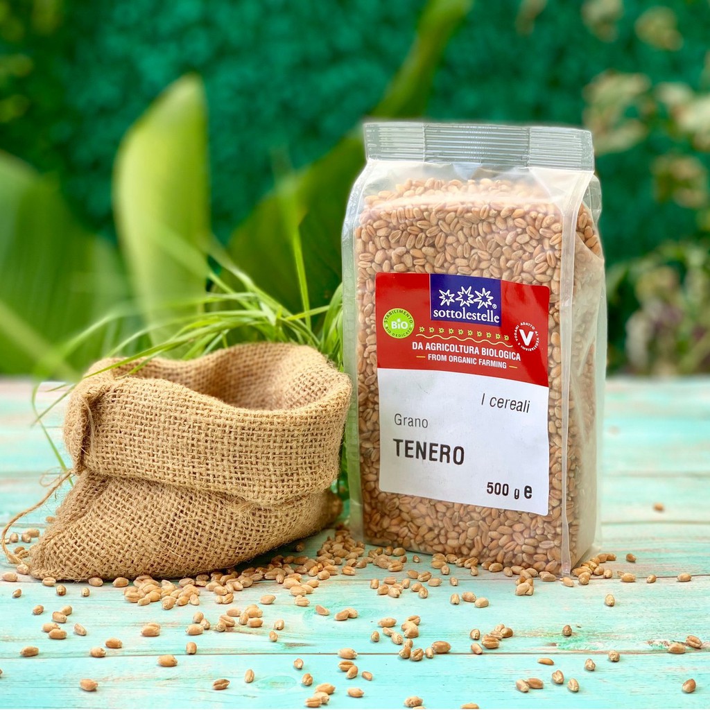 Hạt lúa mì hữu cơ Sottolestelle 500g Organic WheatGrass Seeds