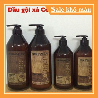 Dầu gội colagen haneda 500 ml