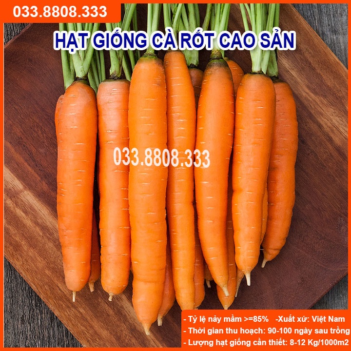Hạt Giống Củ Cà Rốt - Củ To Dài Đặc Ruột