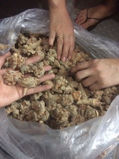 TAM THẤT BẮC Loại 7-8 củ (100g)