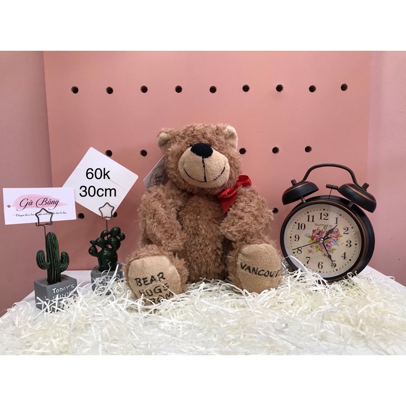 Gấu si Teddy Úc Mỹ. Đã qua sử lí sạch sẽ