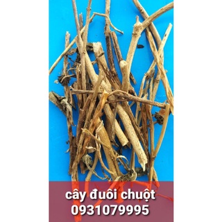 cây đuôi chuột khô 1kg