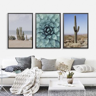 Bộ 3 Tranh Xương Rồng Scandinavian Style (kích thước khác vui lòng liên hệ)- Tặng kèm móc treo tranh kh cần khoan tường