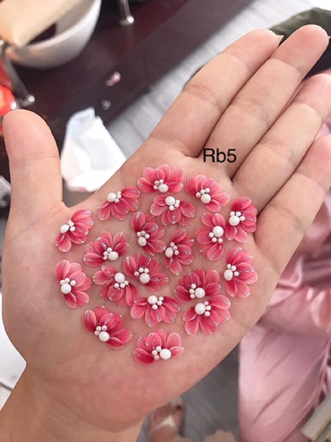 Hoa bột- cúc ruby - hoa đính móng