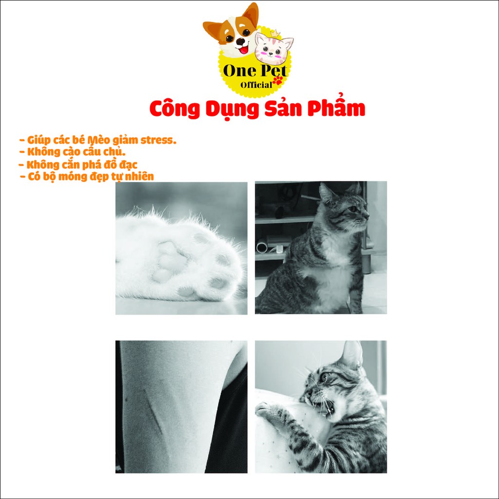 [Mã PET50K giảm Giảm 10% - Tối đa 50K đơn từ 250K] Lõi thay thế tặng kèm Canip cho Bàn cào móng có ổ - One Pet Shop