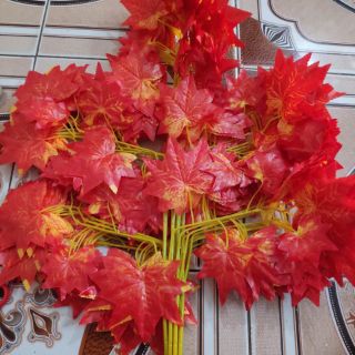 Combo 50 cành phong lá đỏ